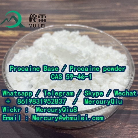 Double clearance custom fast delivery Local Anesthetic Drug Procaine Powder Price 59-46-1