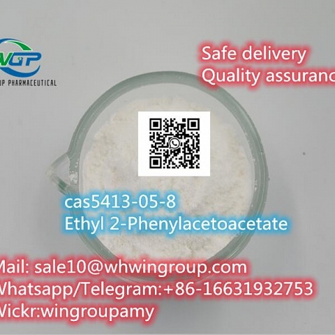 cas5413-05-8  Ethyl 2-Phenylacetoacetate new pmk powder for sale 